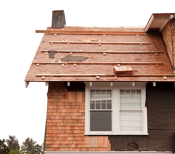 Affordable Siding Repair and Maintenance Services in West Wyomissing, PA